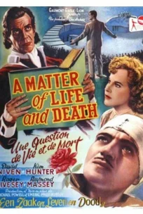  Лестница в небо 